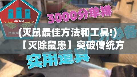 (口袋进化解说) 口袋进化全解：如何通过创新科技在数码世界中实现个性化扩展与发展